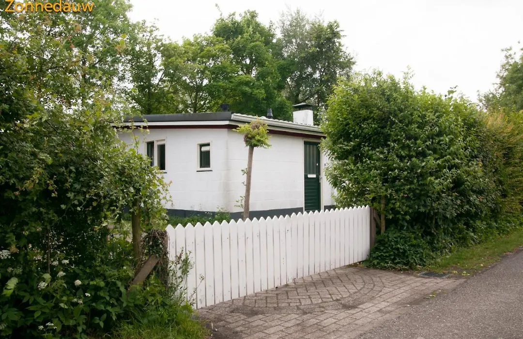 Zonnedauw-1