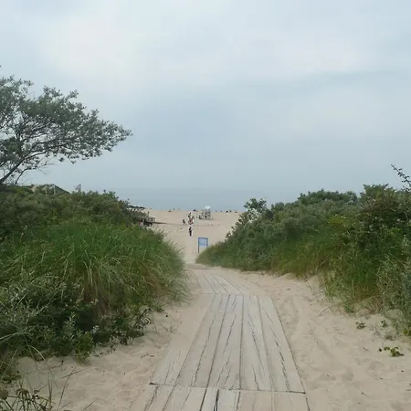 Zonnedauw-2